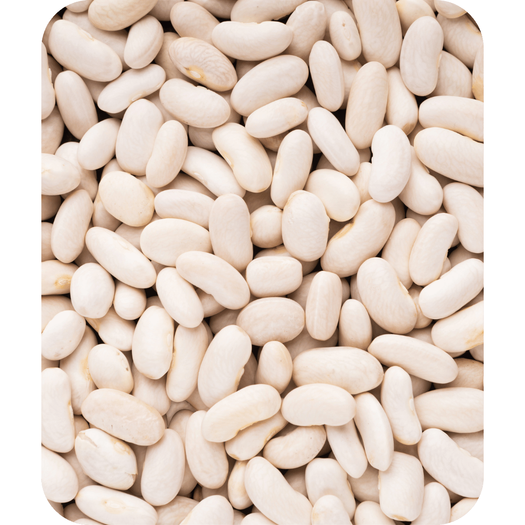 White Kidney Beans