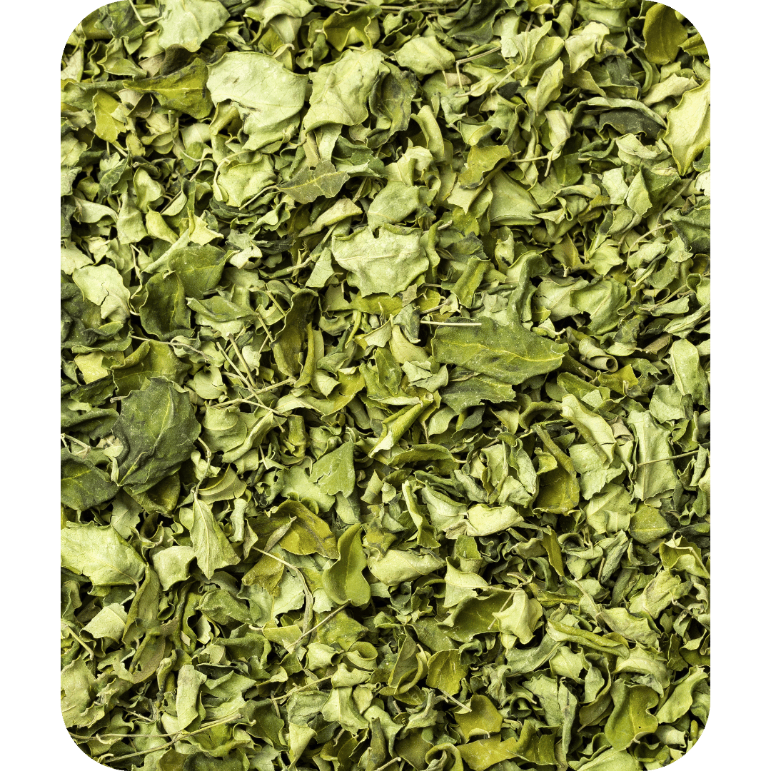 Moringa